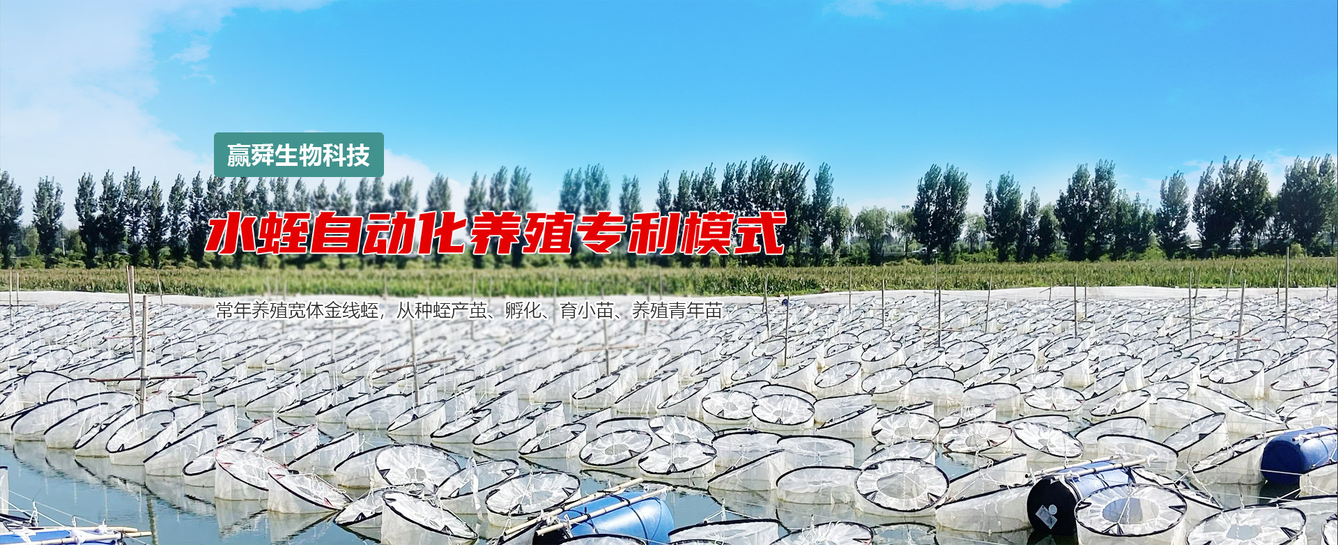 ����8��·�������