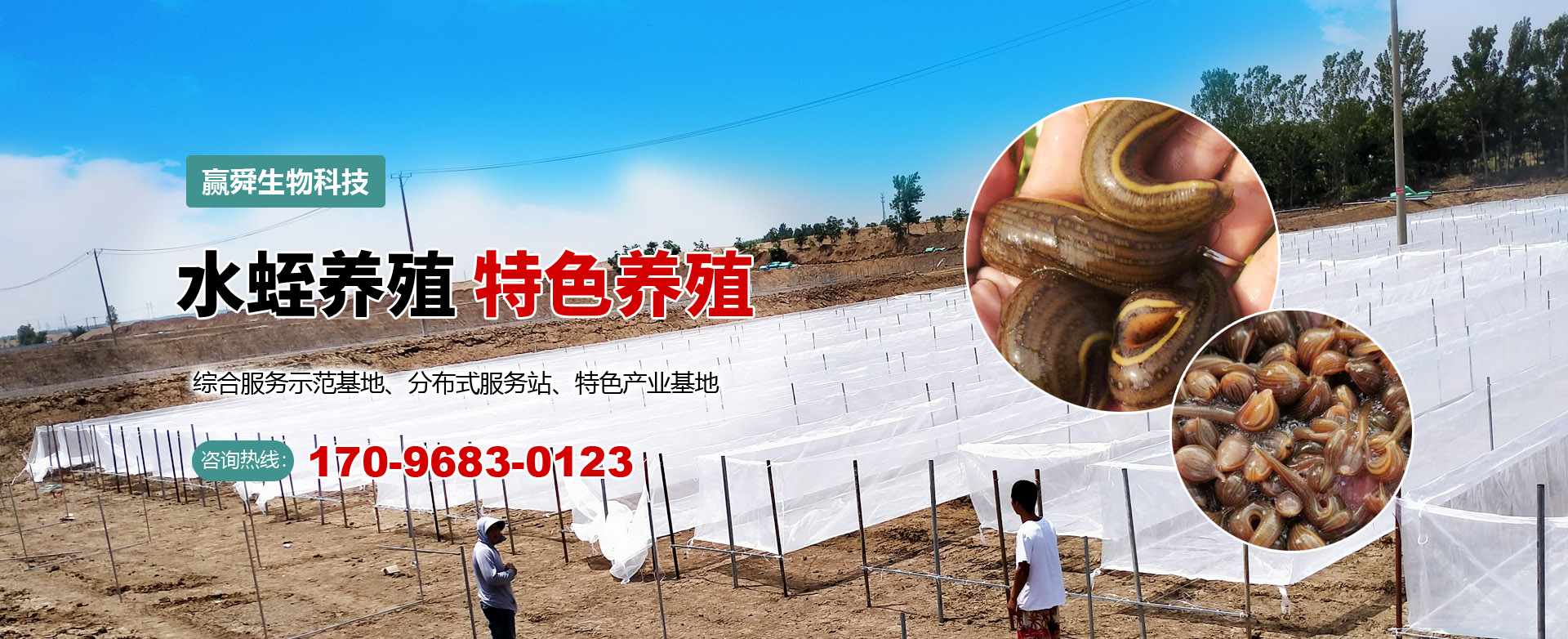 ����8��·�������