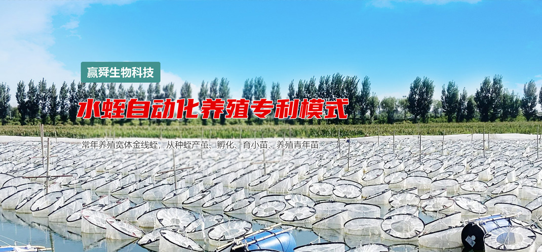 天游8线路检测中心