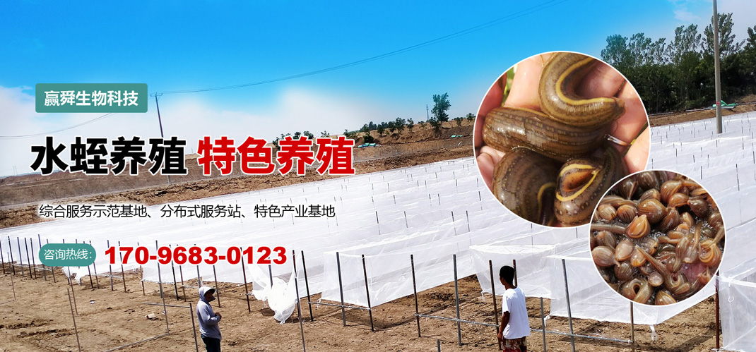 天游8线路检测中心