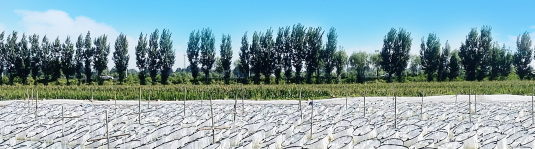 ����8��·�������