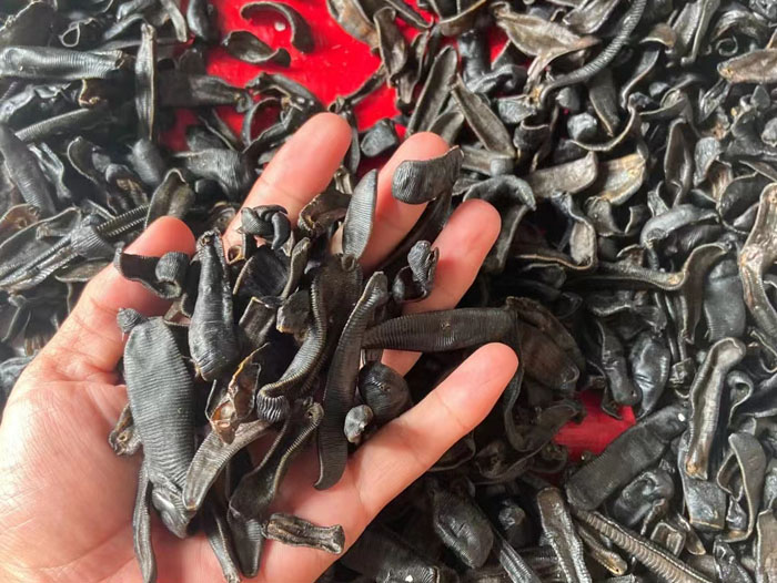 ����8��·���������Ʒ