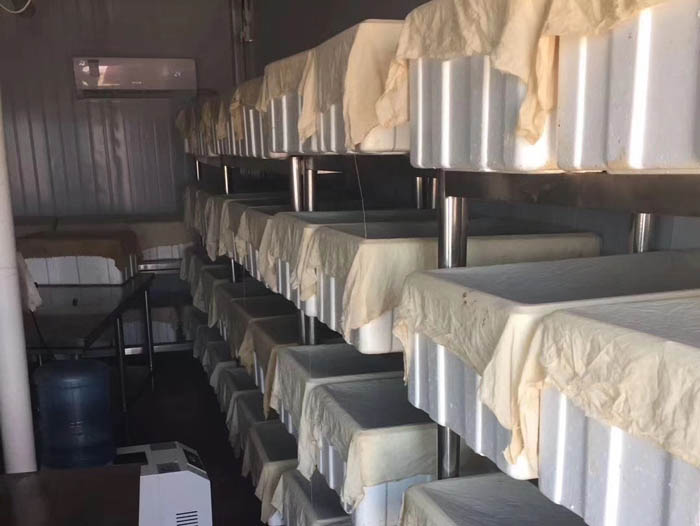 ����8��·���������Ʒ