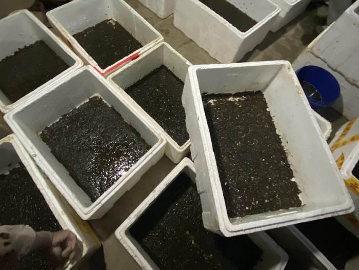 ����8��·��������Ѽ�