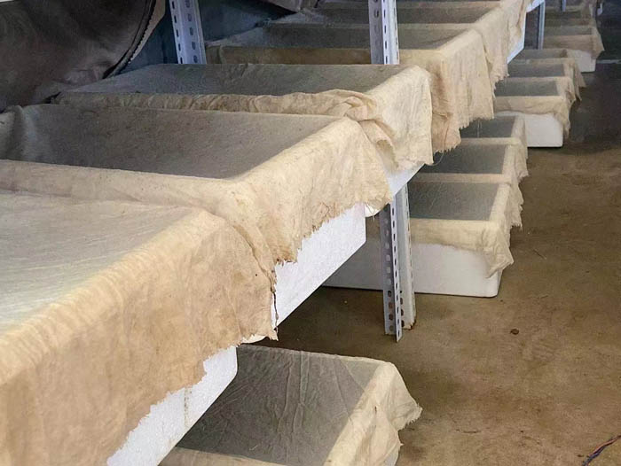 ����8��·��������Ѽ�