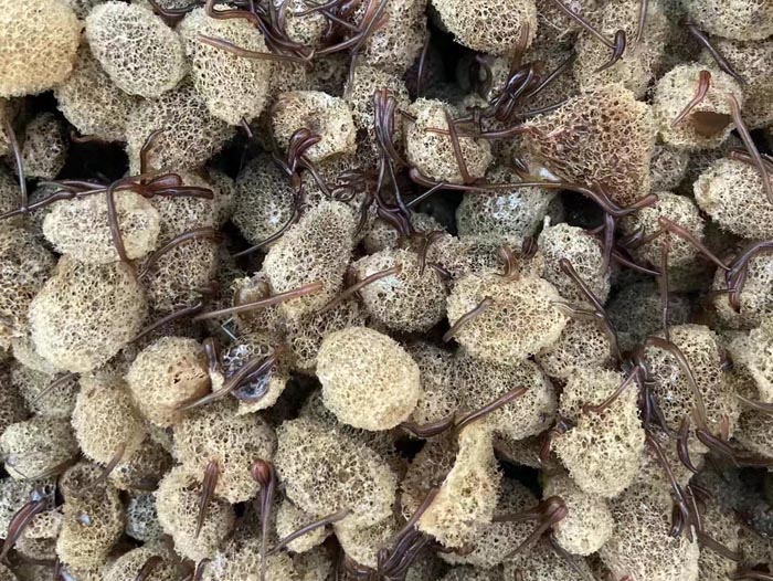 ����8��·��������Ѽ�