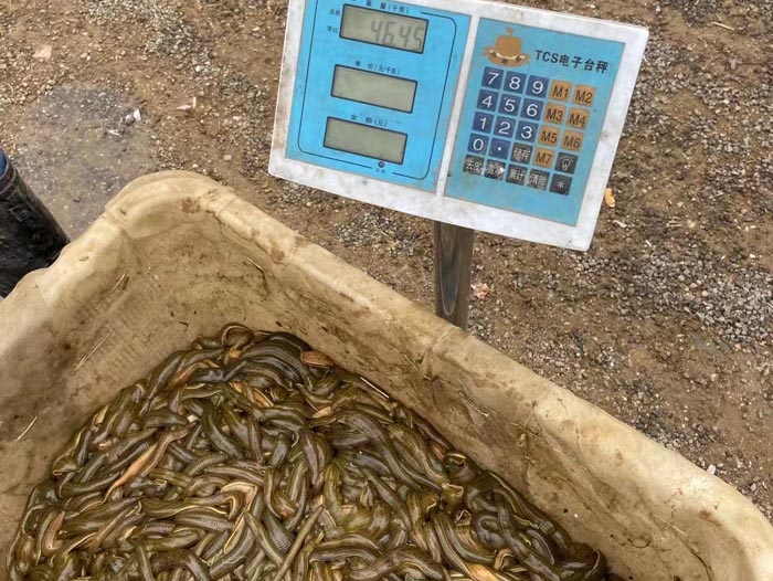 ����8��·�������С��