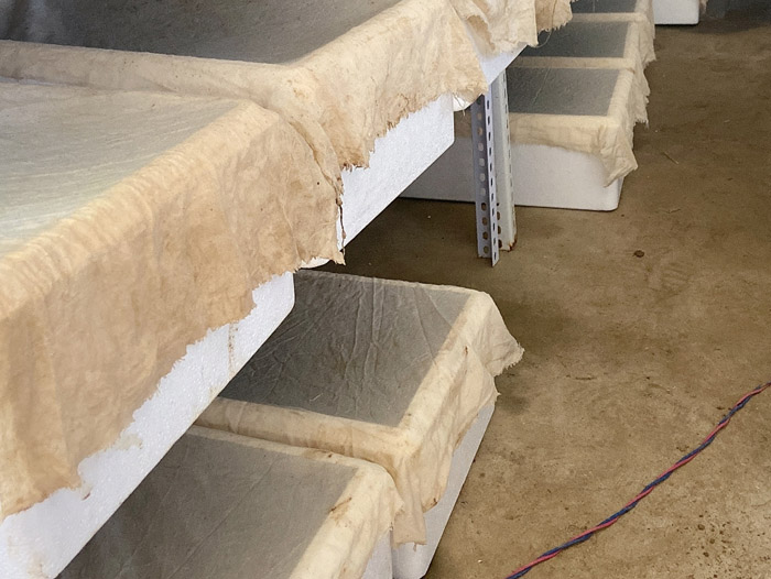 ����8��·�������С��