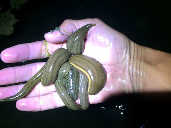 ����8��·�������С��