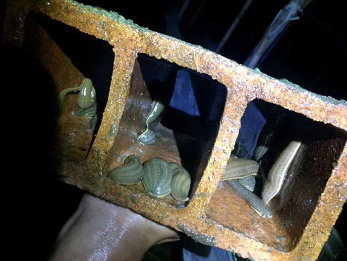 ����8��·�������С��