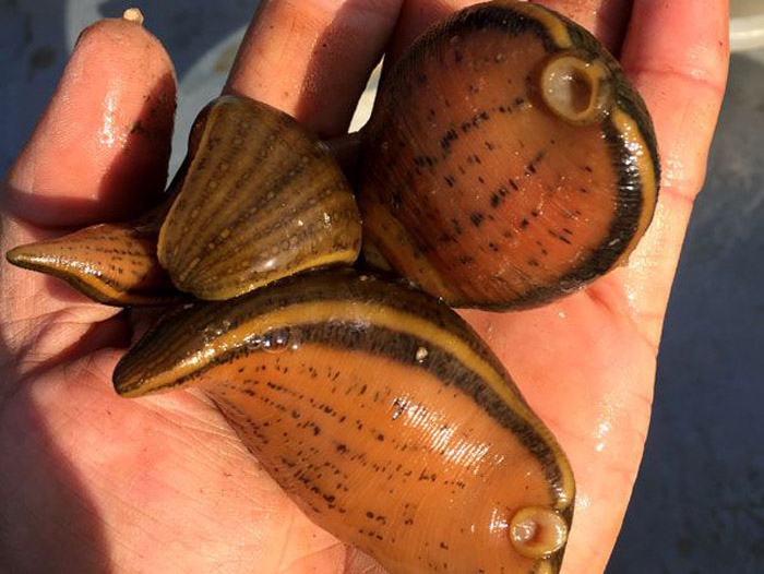 ����8��·�������С��