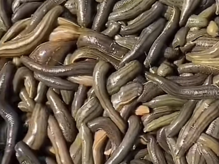 ����8��·�������С��