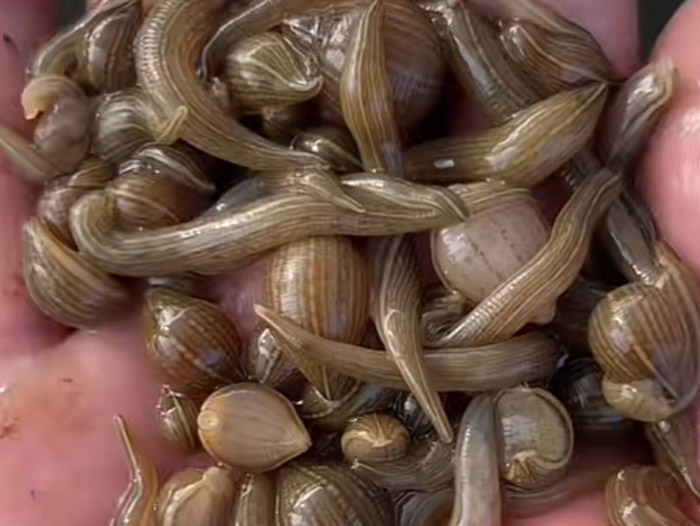 ����8��·�������С��