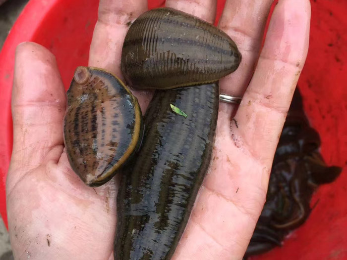 ����8��·������ĳ���