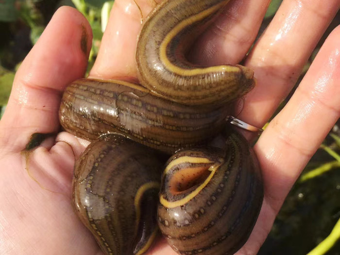 ����8��·������ĳ���