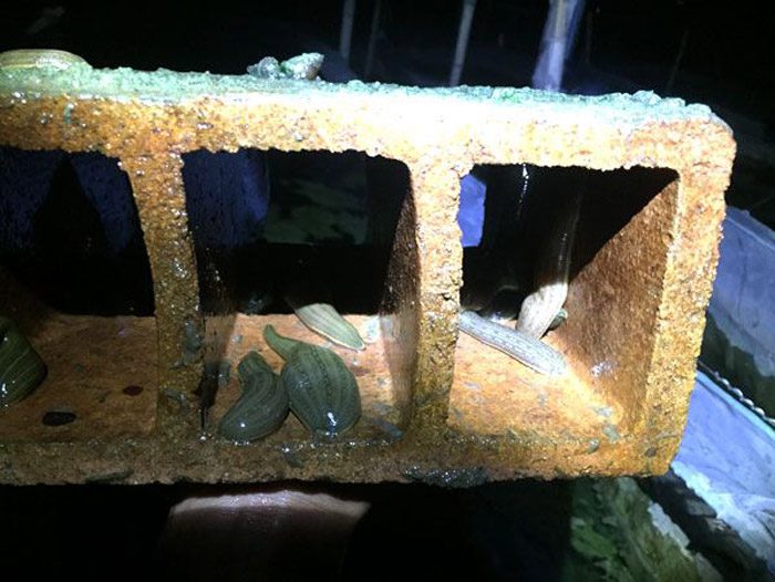 ����8��·������ĳ���