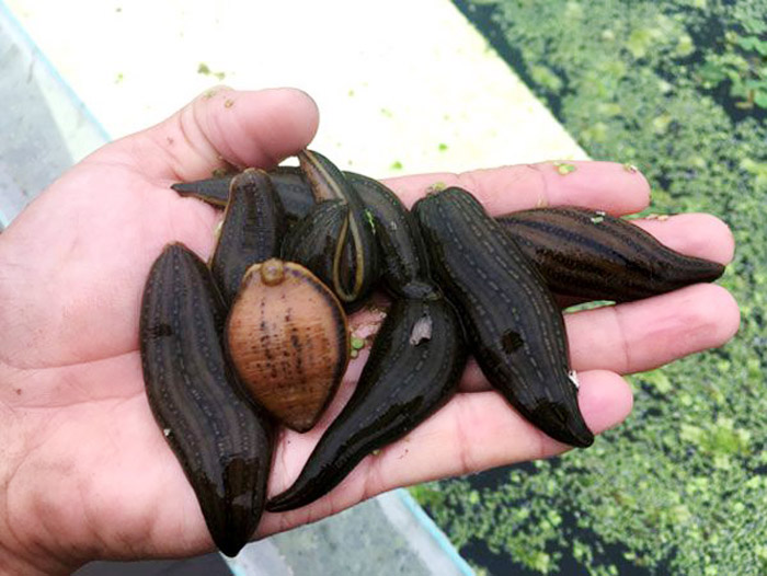 ����8��·������ĳ���