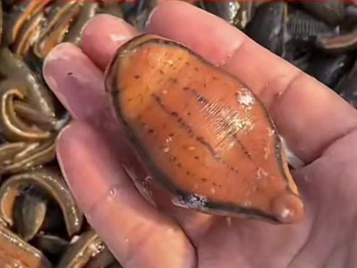 ����8��·������ĳ���