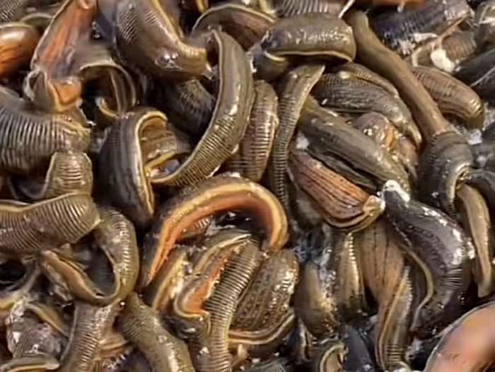 ����8��·������ĳ���