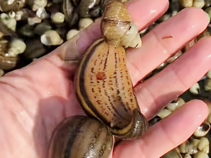 ����8��·������ĳ���