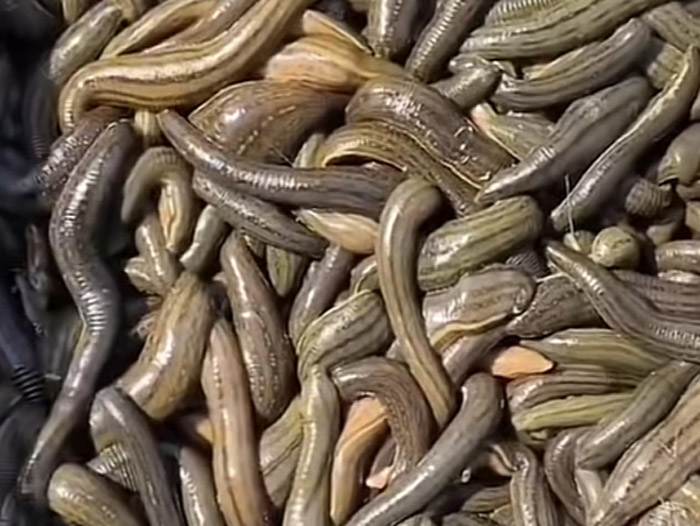 ����8��·������ĳ���