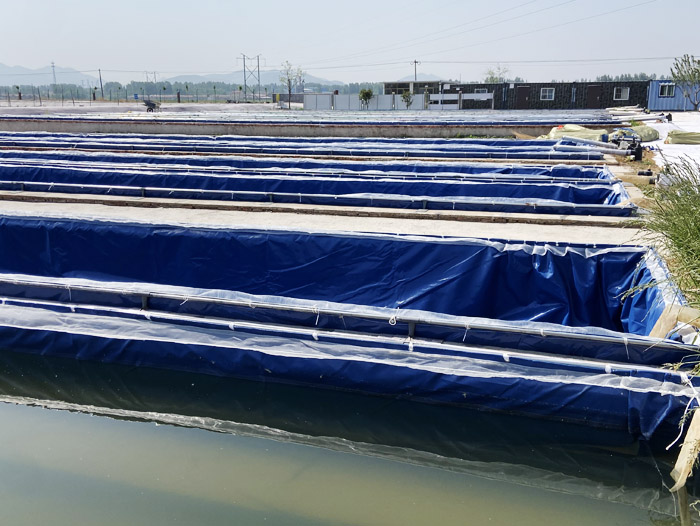 ��ֳ����