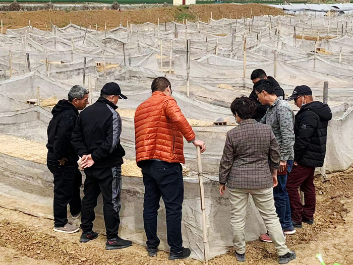 ��ֳ����