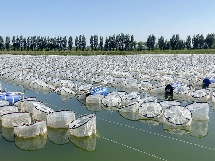 ��ֳ����