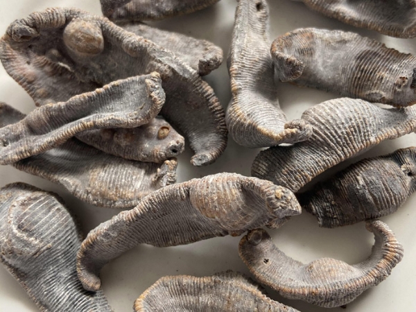 ����8��·���������Ʒ