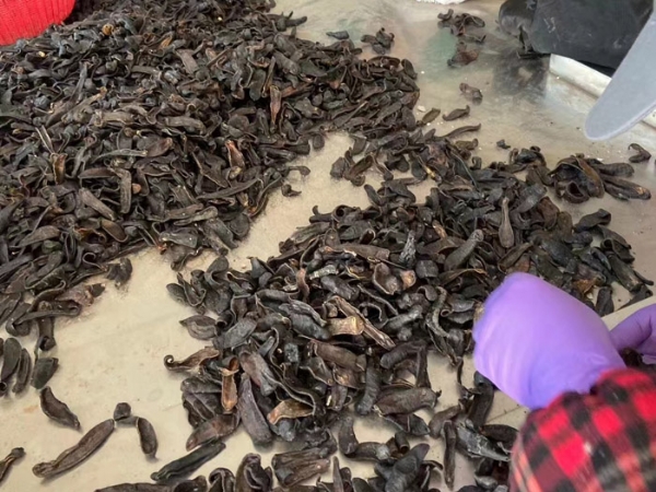 ����8��·���������Ʒ