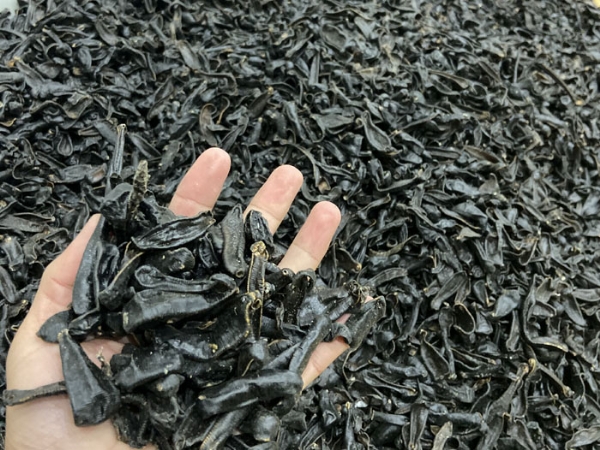 天游8线路检测中心制品