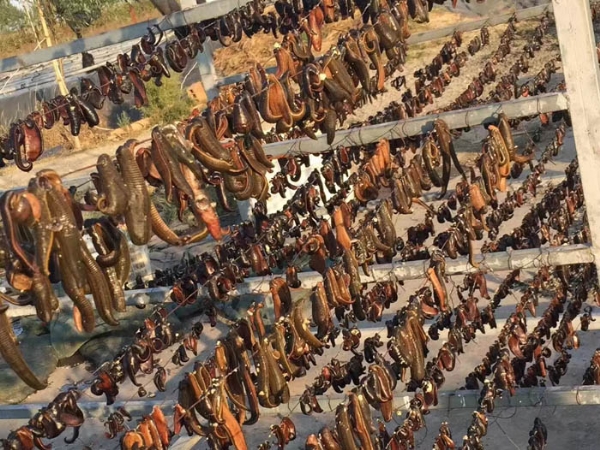 ����8��·���������Ʒ