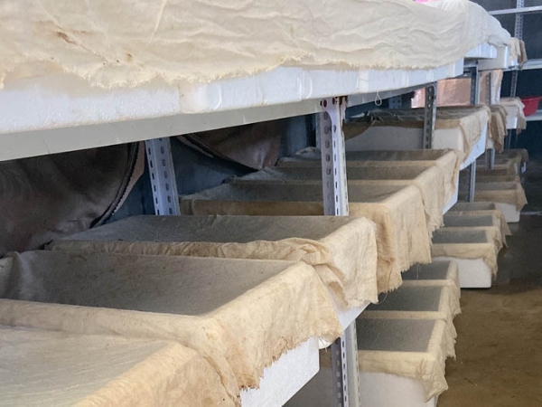 ����8��·���������Ʒ