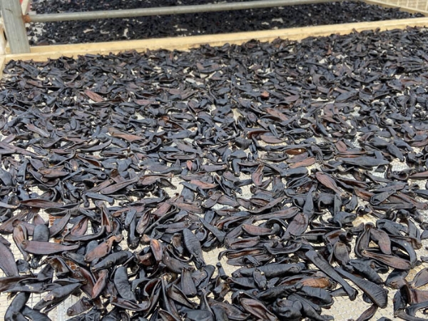 ����8��·���������Ʒ