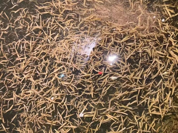 ����8��·��������Ѽ�