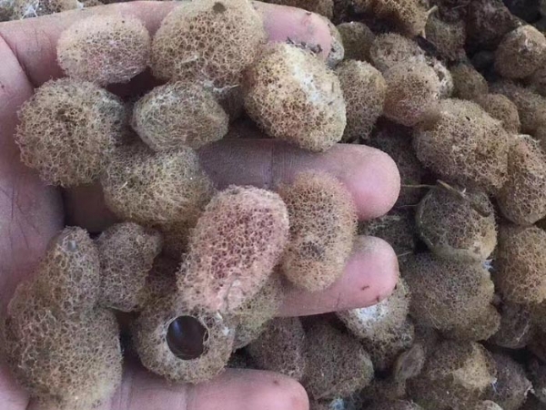 ����8��·��������Ѽ�