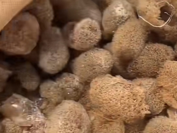 ����8��·��������Ѽ�