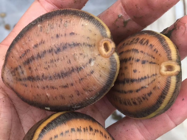 ����8��·�������С��