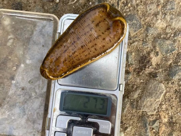 ����8��·�������С��