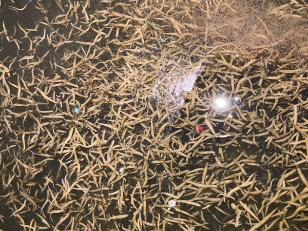 ����8��·�������С��