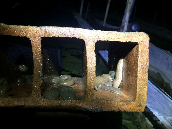 ����8��·�������С��