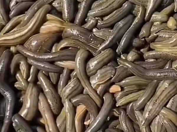 ����8��·�������С��