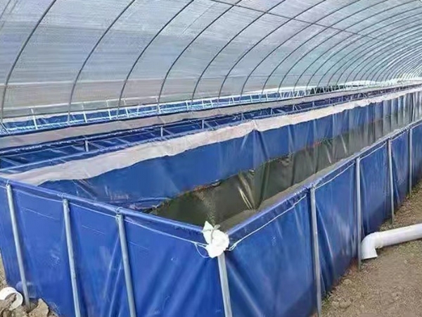 ��ֳ����