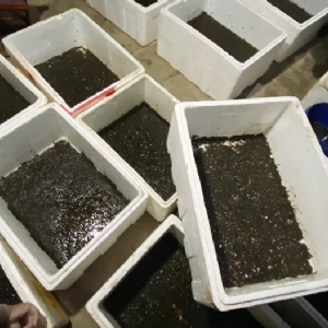 ����8��·���������Ʒ