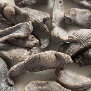 ����8��·���������Ʒ