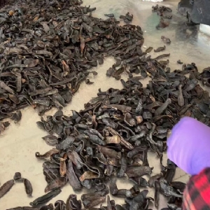 ����8��·���������Ʒ