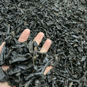 ����8��·���������Ʒ