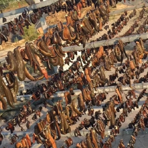 ����8��·���������Ʒ