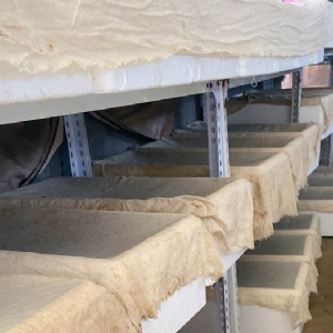 ����8��·���������Ʒ