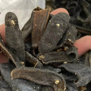 ����8��·���������Ʒ